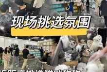 购买狗的网站推荐（寻找理想宠物的最佳选择）