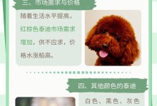泰迪犬的六大坏处（了解泰迪犬的缺点，为养狗做好准备）