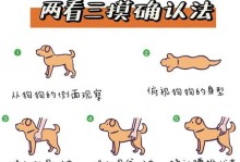 如何准确判断狗狗是否怀孕（4种方法教你轻松辨别母狗是否怀孕）