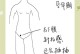 孕早期肚子开始显现的时间及原因