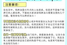 法国斗牛犬和英国斗牛犬的区别与辨识（了解两大斗牛犬品种及其特征，助你正确辨识它们）