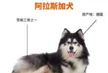 探索阿拉斯加（解析阿拉斯加的锻炼时间需求与建议）