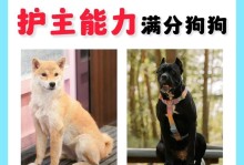 忠诚无比的守护者（解密最忠实的犬种，他们对主人的守护从未停歇）