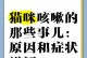 家猫咳嗽的原因与辨别方法（如何在家辨别猫咪咳嗽的原因）