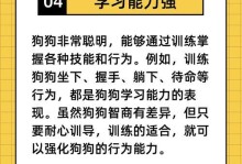 小狗的记忆力有多久？（揭秘小狗记忆的时限和特点）