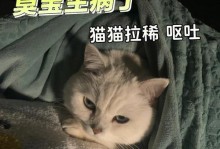 如何处理宠物猫咪呕吐拉稀臭味问题（从日常饮食到医疗措施，教你全方位应对宠物猫咪的身体不适）