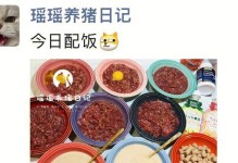 猫咪胰腺炎禁食指南（以宠物为主，健康饮食从我做起）