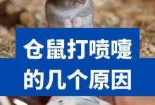 生产后的仓鼠护理指南（关爱鼠妈“坐月子”，宝宝健康成长）