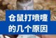 生产后的仓鼠护理指南（关爱鼠妈“坐月子”，宝宝健康成长）