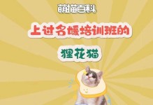 猫如何认主人（猫与人类的特殊关系与相互依赖）