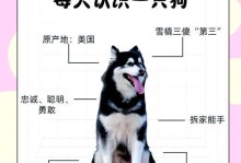 阿拉斯加幼犬的驱虫药使用时机（了解阿拉斯加幼犬驱虫药使用的最佳时机及方法）