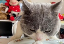 科学喂养，猫咪每天应该摄入多少食物？（掌握适量摄食，关爱猫咪健康）