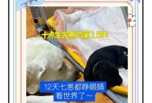 奶狗睁眼的时间及发育过程（了解奶狗眼睛睁开的时机和特点）