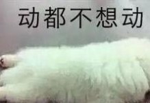 猫突然坐着一动不动（揭秘猫咪神秘行为与内心世界）