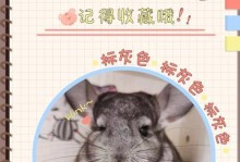 龙猫的繁殖周期及生育频率（探究龙猫的生育规律，了解其繁殖周期）