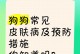 幼犬常患疾病大揭秘！（了解幼犬常见疾病，守护宝宝健康）