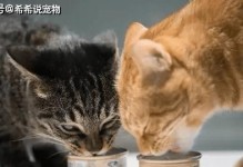 如何给猫咪补充营养（有效的方法与技巧）