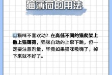 猫薄荷的反应时间究竟有多久？（探索猫薄荷对猫的神秘影响与反应速度）