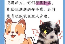 茶杯博美犬的饮食指南（为你的茶杯博美犬提供健康食物的建议）