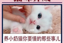 猫咪生育全方位指南（关注宠物健康，从生育注意事项开始）