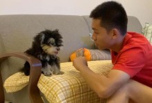 为什么要在幼犬期将狗送去训练？（早期训练对犬的发展至关重要）