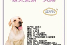 拉布拉多掉毛周期及其管理方法（揭秘拉布拉多掉毛周期，助你科学管理它的蓬发）