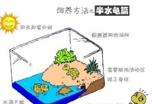 华丽线塘鳢的饲养方法（打造专业水族箱，让鱼儿生活得更健康）