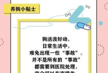 狗狗吃饭多久不会晕车？（揭秘狗狗晕车的时间与关键因素）
