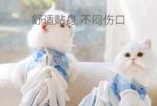 金毛母狗大姨妈注意事项（如何正确照顾金毛母狗的生理期？）