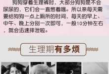母狗产仔时间的规律及关键因素（探讨母狗产仔时间的影响因素和养护要点）