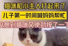 为什么猫咪喜欢早上叫醒主人？（探究猫咪早上叫醒主人的原因及其意义）