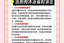 夏季狗狗洗澡误区解析——注意避免这些错误！（夏季狗狗洗澡错误不容忽视，有关注意事项揭秘）