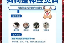 小狗压迫神经，需要多长时间才能康复？（解析小狗压迫神经康复的关键因素与方法）