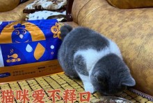 猫咪不吃猫粮只喝水，健康与否关键在这一点！（探究猫咪饮食的奥秘，提高养猫技巧的必备知识）