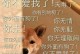 狗儿厌恶的人类行为（揭秘让狗狗讨厌的十五种人，探索它们隐藏的行为心理）
