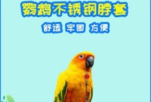 如何训练一只优秀的宠物鹦鹉？（培养鹦鹉的习惯、饲养环境、训练技巧、时间规划等方面的建议）