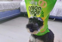 以小狗要用哪样东西下饭（给宠物犬提供多样化的营养餐）