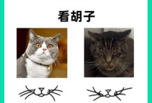 猫咪肚子爬满“虫子”？7种表现揭示内外寄生虫威胁！（如何判断猫咪肚子有“虫子”？如何预防和治疗？）