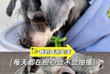 如何治疗狗狗患上的犬瘟？（狗狗得犬瘟了怎么办？预防和治疗方法详解）