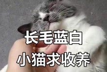 猫咪长毛的时间与注意事项（从无毛到长毛，猫咪成长中的蓬发奇迹）