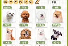 灵缇犬的饲养方法（如何养护一只健康的灵缇犬）