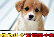 幼犬为什么不能喝牛奶？（牛奶对幼犬的影响及替代选择）