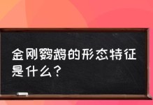 以栗额金刚鹦鹉的饲养方法（宠物爱好者必看，了解如何正确饲养栗额金刚鹦鹉！）