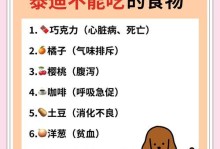 泰迪喂食指南（关注泰迪的饮食健康，从小到大）