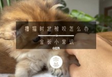 猫咪突然咬人的原因及应对方法（宠物猫咪的攻击性行为、日常照顾和培养习惯）