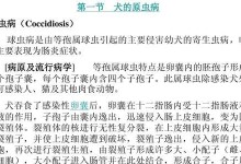 小狗寄生虫性肠炎的治疗方法（宠物健康的重要性与治疗方案）