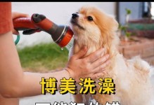 初生小狗的洗澡时间及注意事项（初生小狗洗澡频率、洗澡工具和洗澡前后的注意事项）