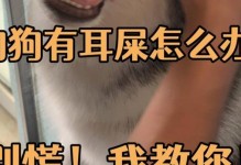 如何正确清理狗的耳屎（有效的耳屎清理方法和注意事项）