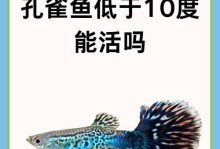 孔雀鱼烂尾巴的原因及治疗方法（探究孔雀鱼烂尾巴的成因以及有效的治疗方法）