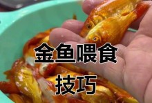 金鱼饲料选择指南（如何选择适合金鱼的饲料）